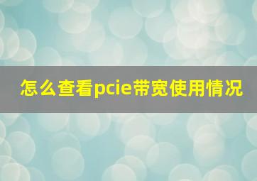 怎么查看pcie带宽使用情况