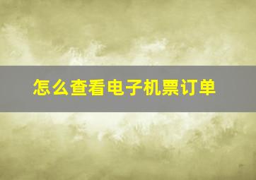 怎么查看电子机票订单