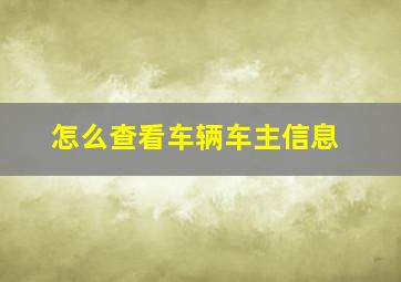 怎么查看车辆车主信息