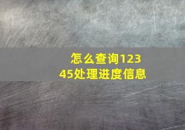 怎么查询12345处理进度信息