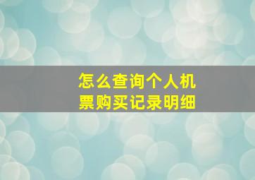 怎么查询个人机票购买记录明细