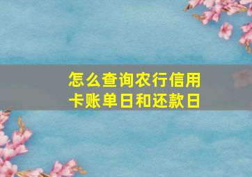 怎么查询农行信用卡账单日和还款日