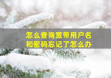 怎么查询宽带用户名和密码忘记了怎么办