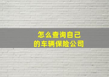 怎么查询自己的车辆保险公司