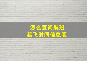 怎么查询航班起飞时间信息呢