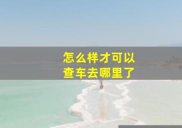 怎么样才可以查车去哪里了