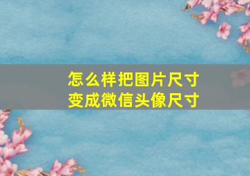 怎么样把图片尺寸变成微信头像尺寸