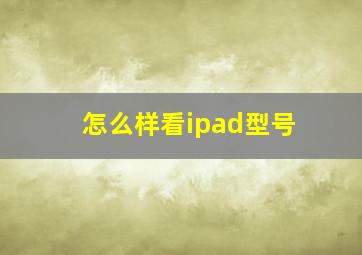 怎么样看ipad型号