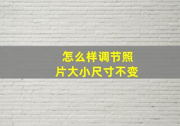 怎么样调节照片大小尺寸不变