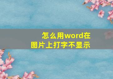 怎么用word在图片上打字不显示