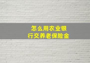 怎么用农业银行交养老保险金