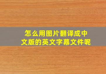 怎么用图片翻译成中文版的英文字幕文件呢