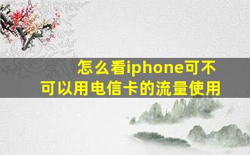 怎么看iphone可不可以用电信卡的流量使用