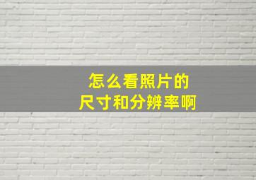 怎么看照片的尺寸和分辨率啊