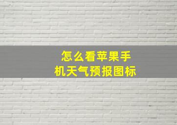 怎么看苹果手机天气预报图标