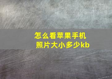 怎么看苹果手机照片大小多少kb