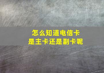 怎么知道电信卡是主卡还是副卡呢