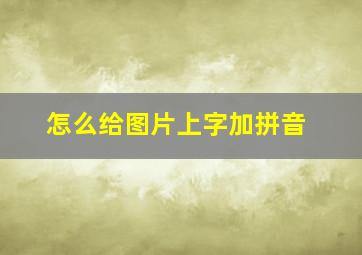 怎么给图片上字加拼音