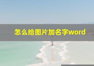 怎么给图片加名字word