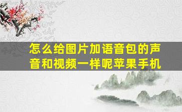 怎么给图片加语音包的声音和视频一样呢苹果手机