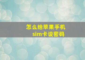 怎么给苹果手机sim卡设密码