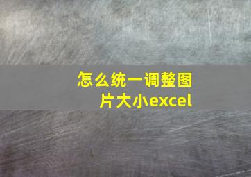 怎么统一调整图片大小excel