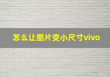 怎么让图片变小尺寸vivo