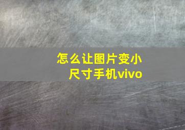 怎么让图片变小尺寸手机vivo