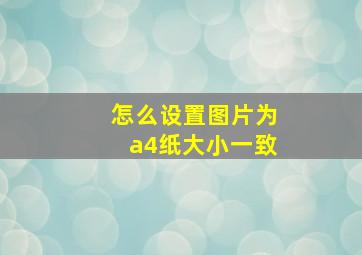 怎么设置图片为a4纸大小一致