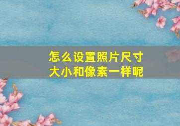 怎么设置照片尺寸大小和像素一样呢