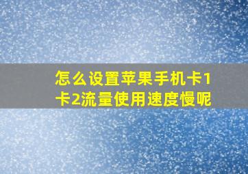 怎么设置苹果手机卡1卡2流量使用速度慢呢