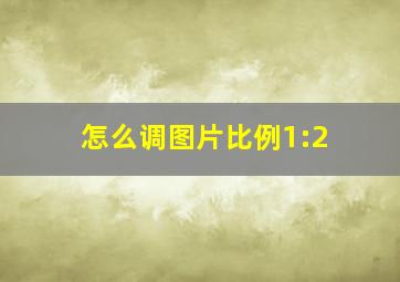 怎么调图片比例1:2