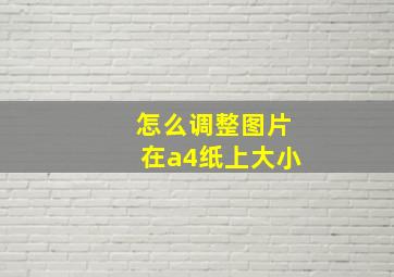 怎么调整图片在a4纸上大小