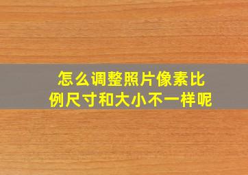 怎么调整照片像素比例尺寸和大小不一样呢