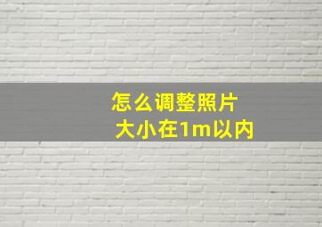 怎么调整照片大小在1m以内