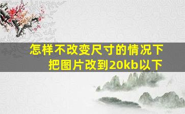 怎样不改变尺寸的情况下把图片改到20kb以下