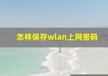 怎样保存wlan上网密码