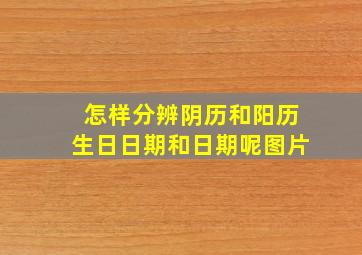 怎样分辨阴历和阳历生日日期和日期呢图片