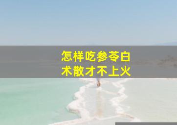 怎样吃参苓白术散才不上火