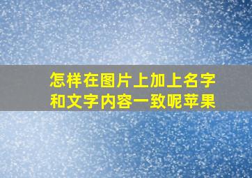 怎样在图片上加上名字和文字内容一致呢苹果