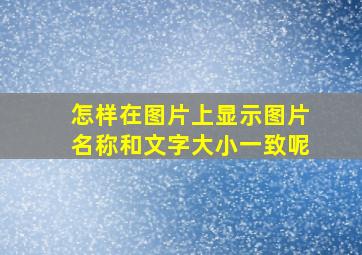 怎样在图片上显示图片名称和文字大小一致呢