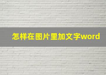 怎样在图片里加文字word