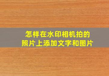 怎样在水印相机拍的照片上添加文字和图片