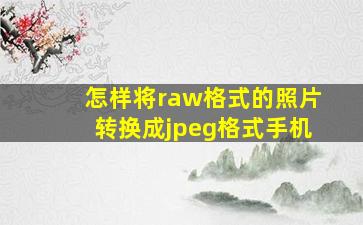 怎样将raw格式的照片转换成jpeg格式手机