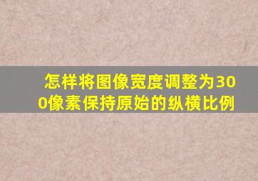 怎样将图像宽度调整为300像素保持原始的纵横比例