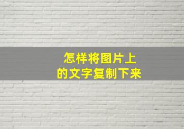 怎样将图片上的文字复制下来