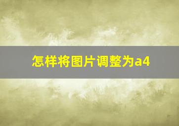 怎样将图片调整为a4