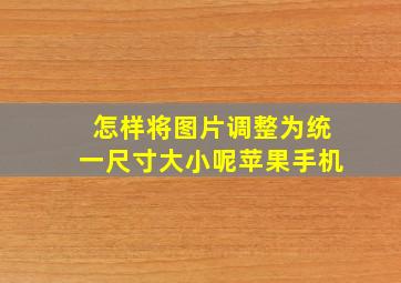 怎样将图片调整为统一尺寸大小呢苹果手机