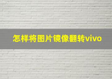 怎样将图片镜像翻转vivo