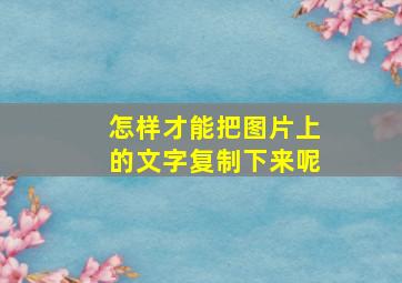 怎样才能把图片上的文字复制下来呢